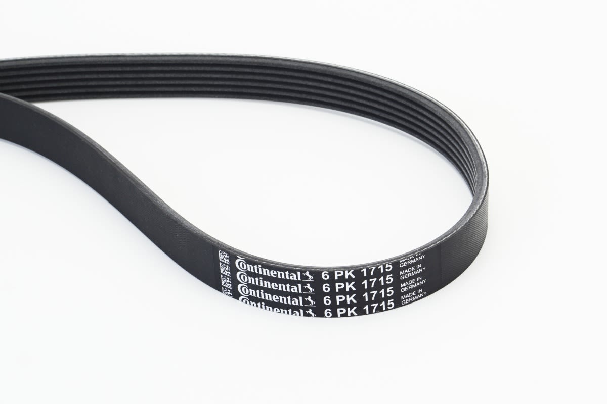 Correa multinervada CONTITECH 6PK1715 para Ford Focus I