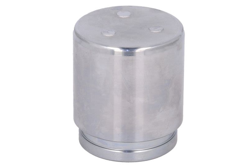 Pistón de cáliper de freno AUTOFREN SEINSA D025597 para Lexus ES