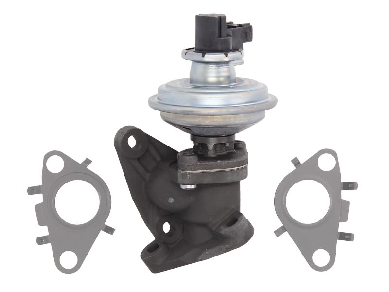 Válvula EGR PIERBURG 7.03051.04.0 para BMW Serie 1 (E81) 2006-2011