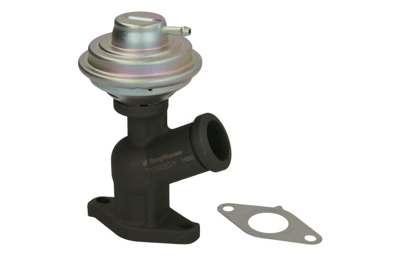 Válvula EGR BORG WARNER 710922D para Citroen C4 I