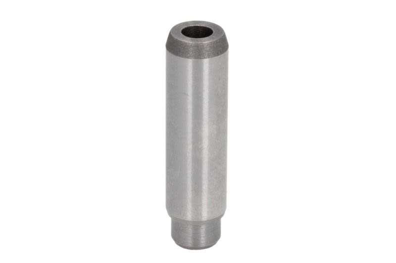 Guía de válvula FRECCIA G11598 para Volvo S60 I