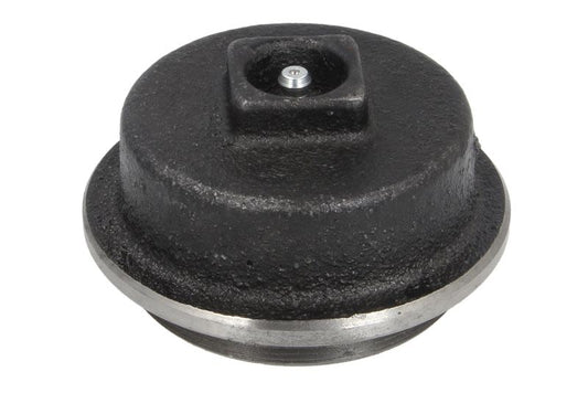 Tapa de masa de rueda BTA B06-2165 para Massey Ferguson 16