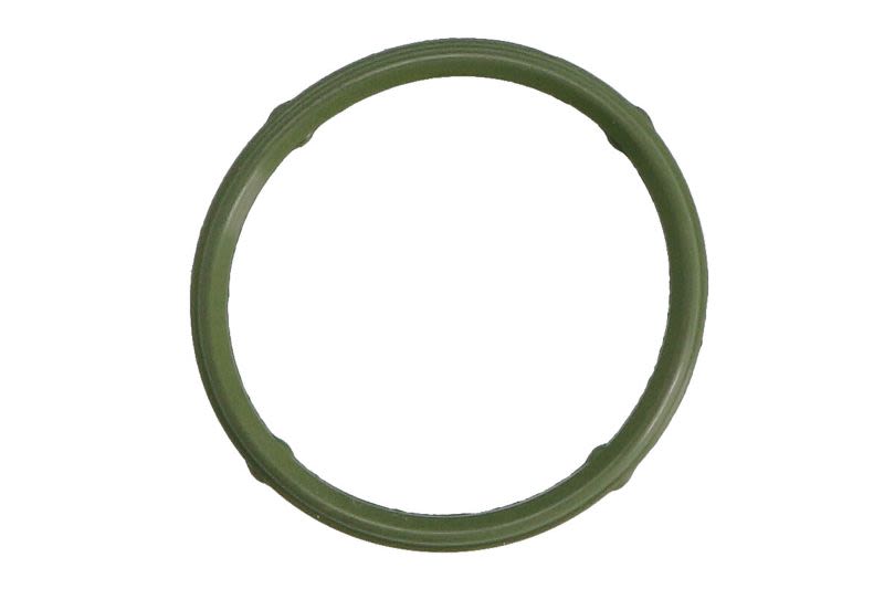 Empaquetadura de múltiple de admisión REINZ 71-36066-00 para Volkswagen Polo IV