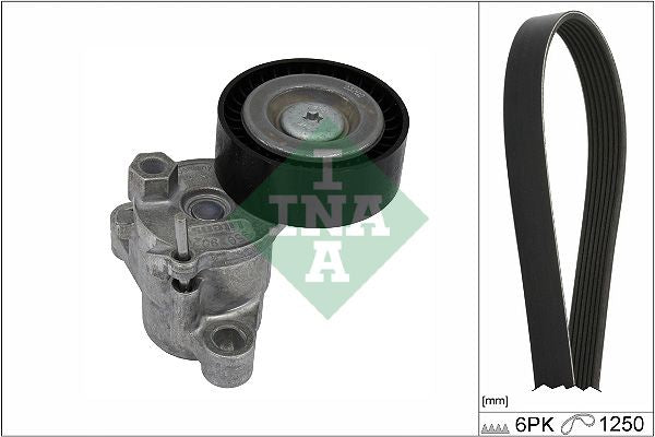 Juego de correa multinervada INA 529 0524 10 para Ford Fiesta VII