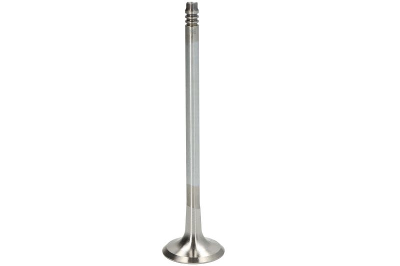 Válvula de escape TRW 111214 para BMW Serie 1 (E81) 2006-2011