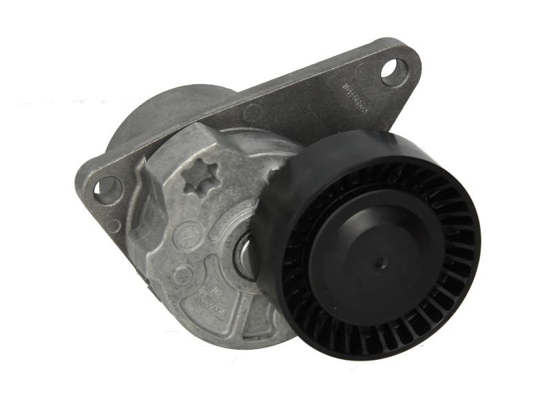 Palanca tensora de correa multicanal INA 534 0103 10 para Volvo V40