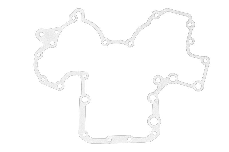 Empaquetadura de caja de distribución OE PERKINS 3687M031-PER para Landini 60