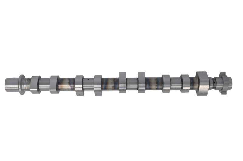 Kit de árbol de levas KOLBENSCHMIDT 50 056 019 para Renault Clio IV