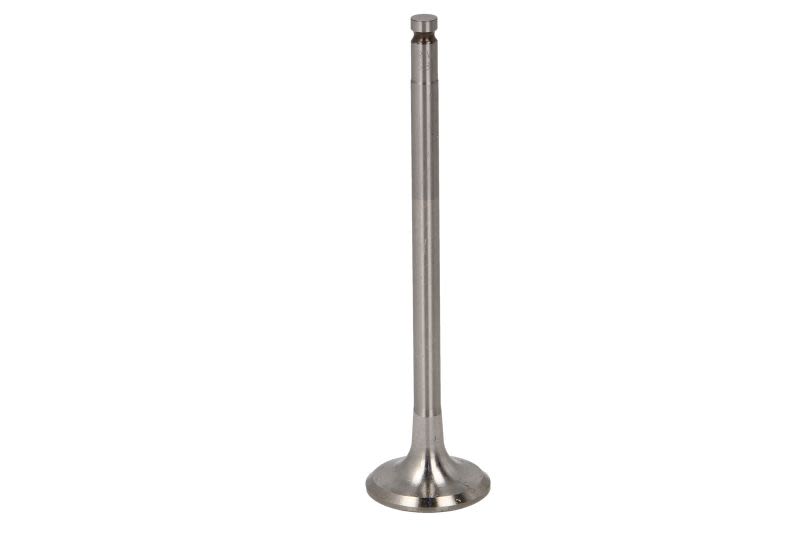 Válvula de escape TRW 539053 para Citroen C3 II