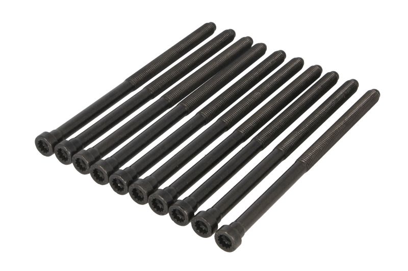 Juego de pernos de culata REINZ 14-12718-01 para Audi A3