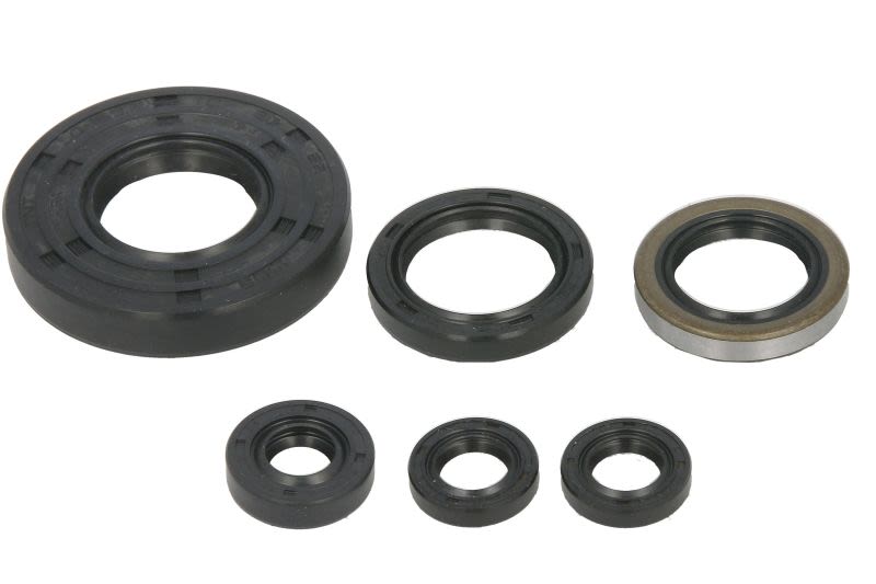 Juego de retenes de motor WINDEROSA W822262 para Polaris Xpedition