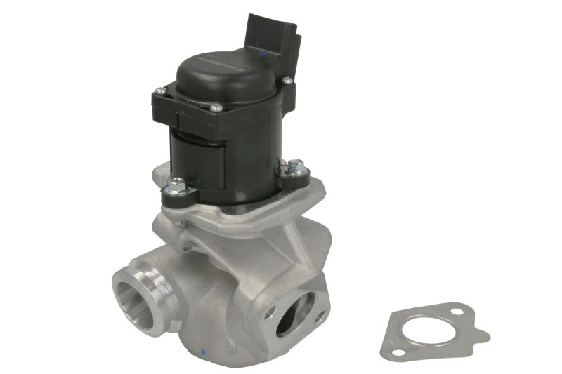 Válvula EGR BORG WARNER 711020D para Citroen C3 I