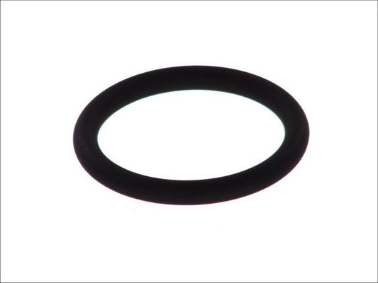 Anillo de retén de tubería de refrigerante ELRING 570.120 para RVI C