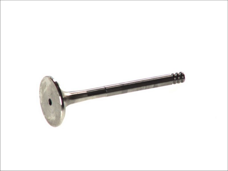Válvula de escape FRECCIA R6129/BM para Audi A3
