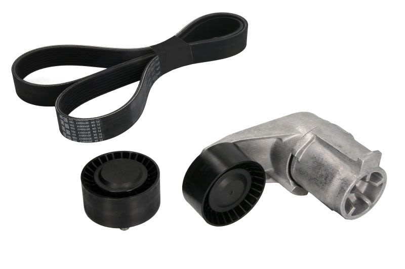 Juego de correa multinervada INA 529 0210 10 para BMW Serie 1 (F20) 2011-2019