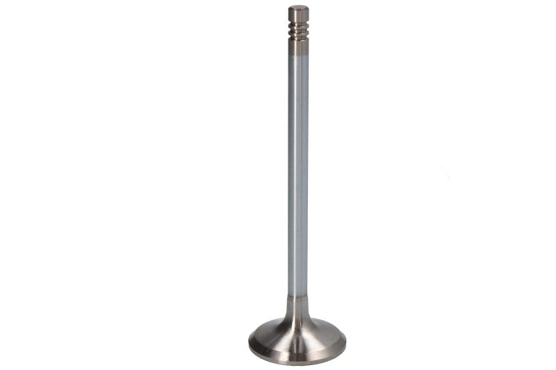Válvula de admisión NE 147037002500 para Citroen C4