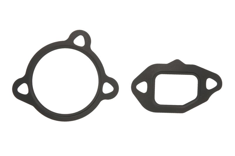 Juego de empaquetaduras de sistema EGR ELRING 934.870 para Fiat Strad