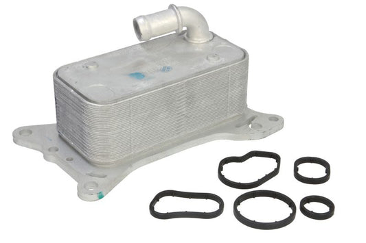 Carcasa de filtro de aceite THERMOTEC D4M017TT para Mercedes-Benz Clase C (A205) 2016-2023