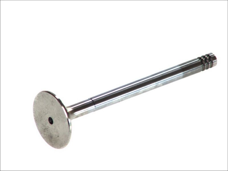 Válvula de escape FRECCIA R6144/BMCR para Ford Transit Connect