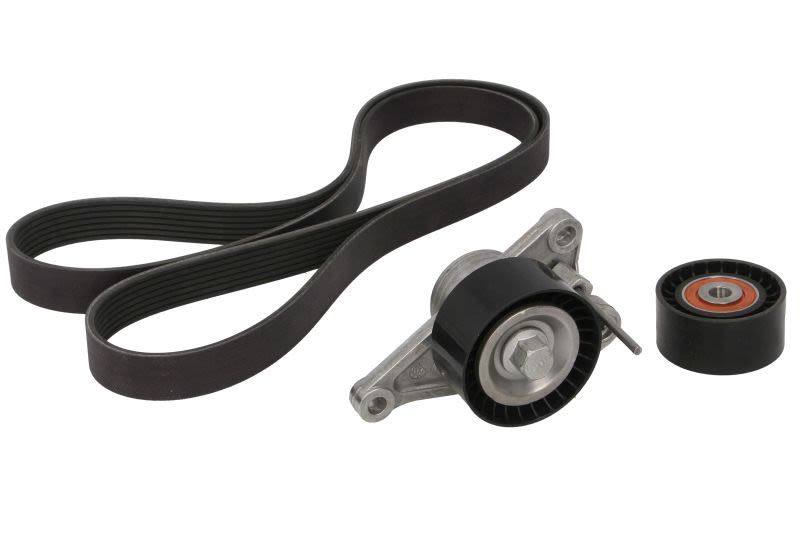 Juego de correa multinervada GATES K017PK1685 para Nissan NV400