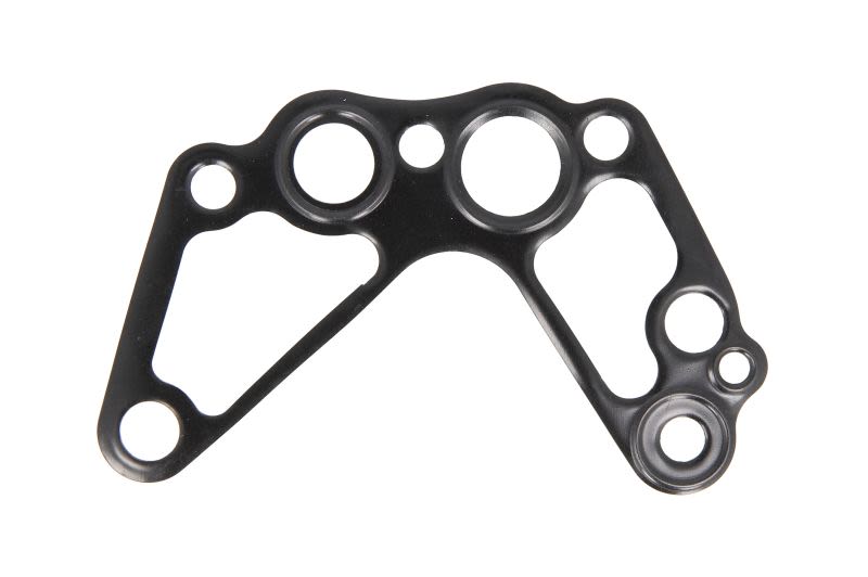 Empaquetadura de bomba de aceite LEMA LEM26219.05 para Iveco Daily