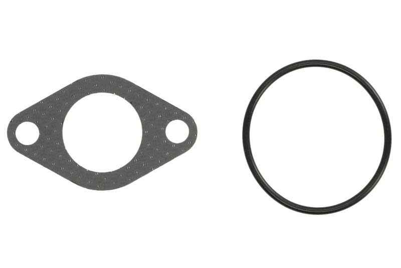 Juego de empaquetaduras de sistema EGR ELRING 934.810 para Audi A3
