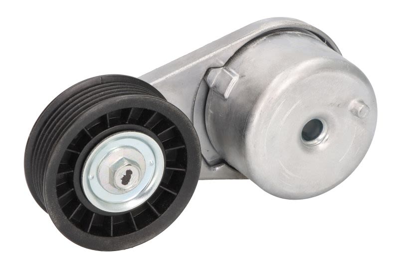 Palanca tensora de correa multicanal GATES T38137 para Ford Range