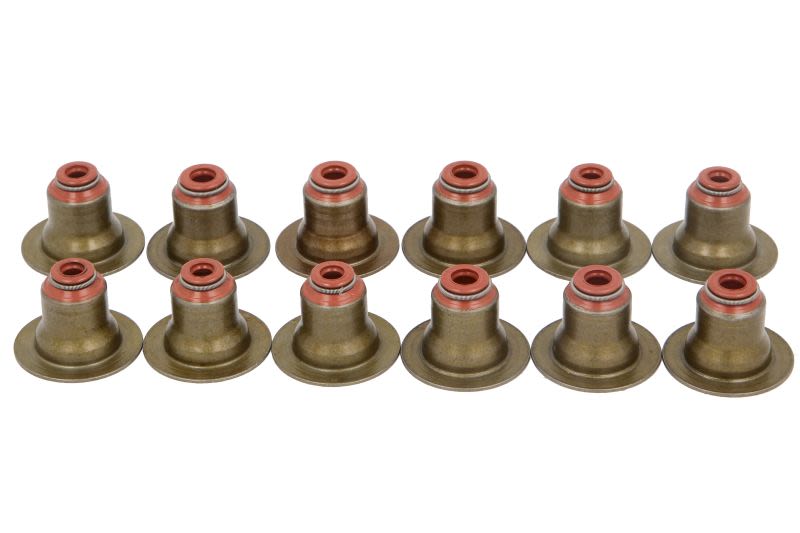 Juego de retenes de vástago de válvula REINZ 12-17509-02 para Fiat 500X