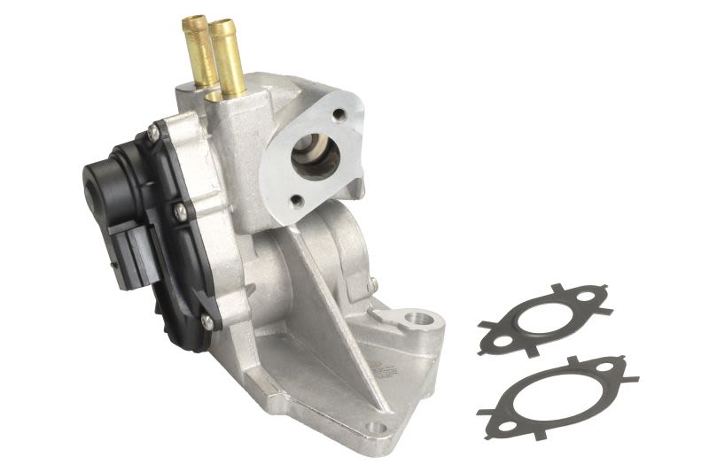 Válvula EGR HELLA 6NU 010 171-721 para Volkswagen Golf V