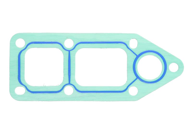 Empaquetadura de bomba de agua LEMA 24500.56 para DAF CF 85