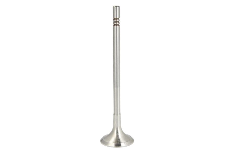 Válvula de escape FRECCIA R6993/BM para Audi A3