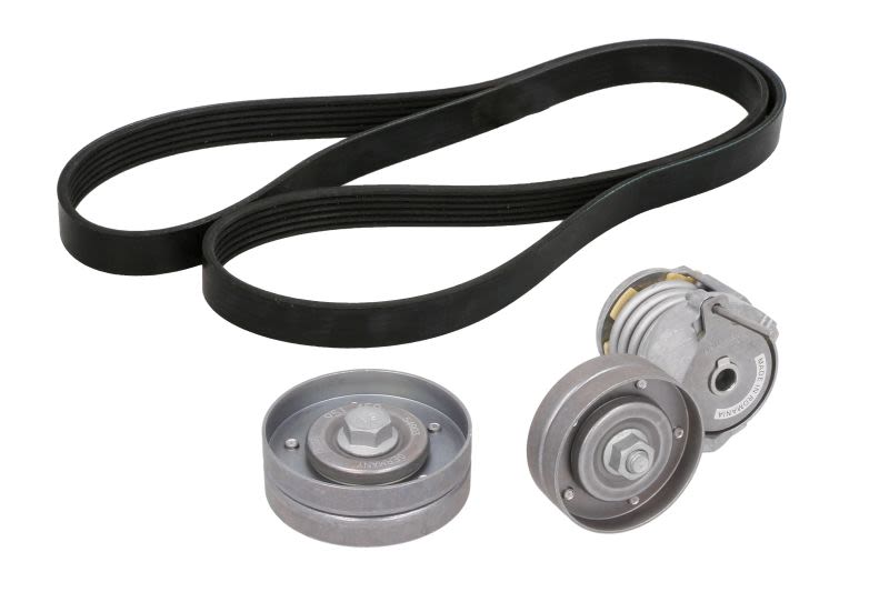 Juego de correa multinervada INA 529 0108 10 para Volkswagen Golf IV