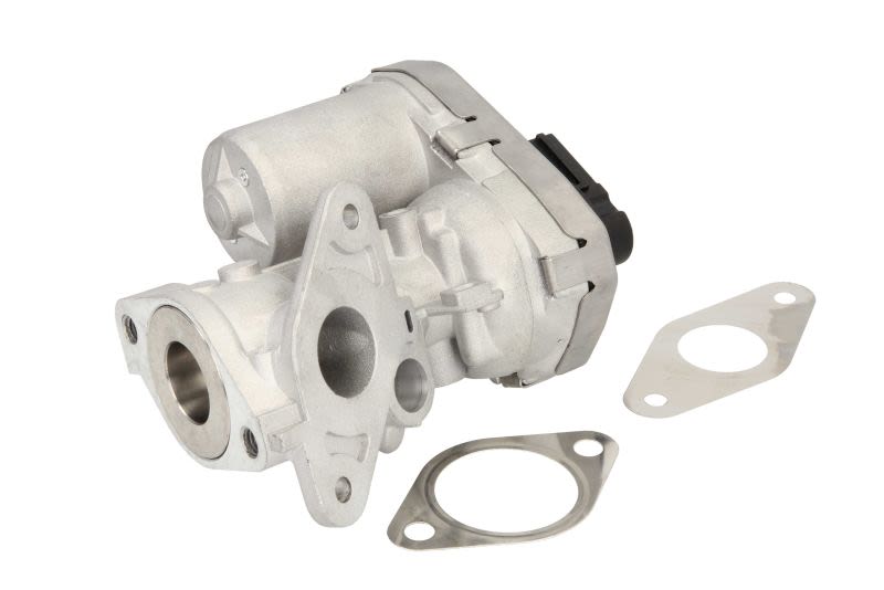 Válvula EGR DELPHI EG10399-12B1 para Ford Transit