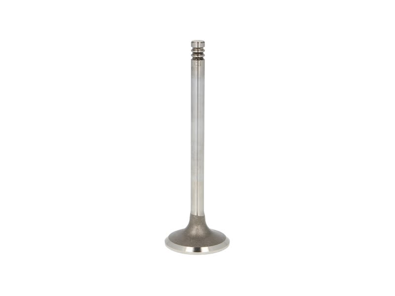 Válvula de escape TRW 22308 para Same 110