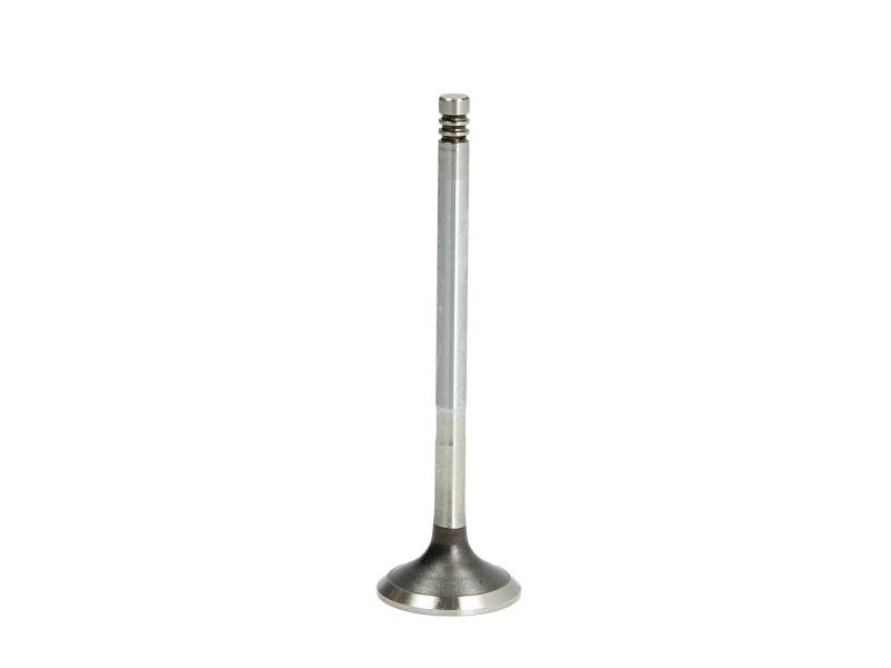 Válvula de escape FRECCIA R6003/BMCR para Ford Focus I