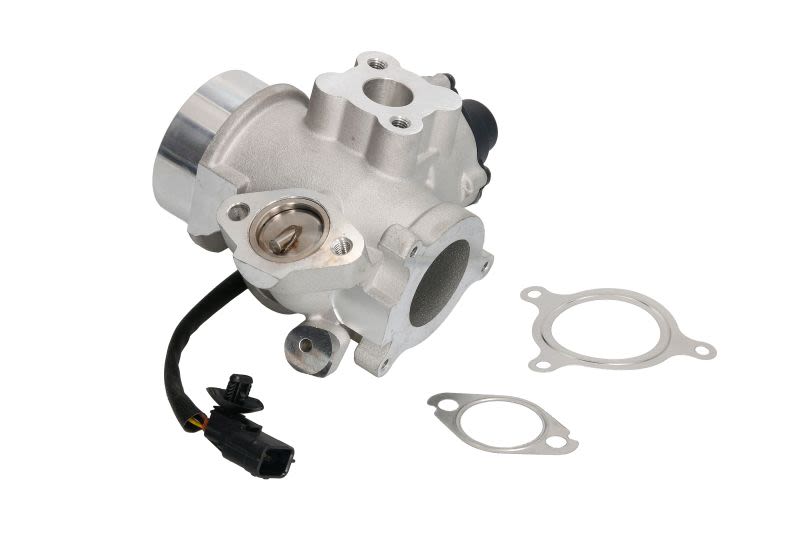 Válvula EGR DELPHI EG10461-12B1 para Nissan Interst