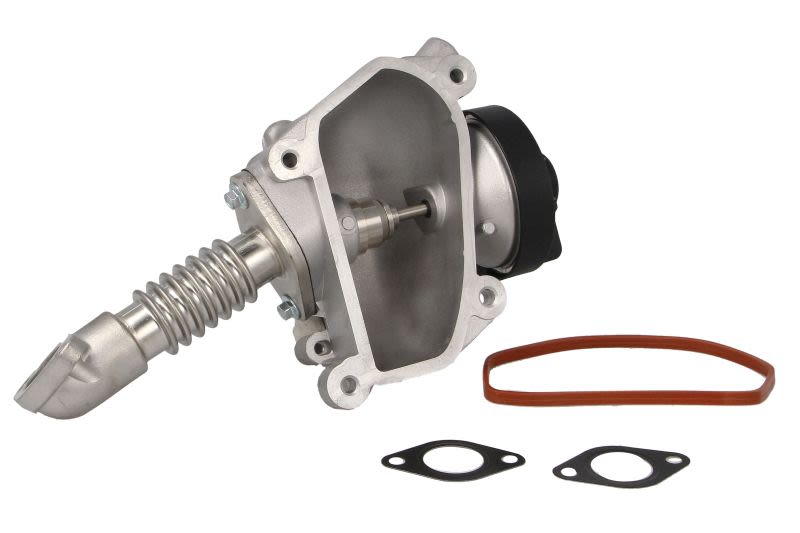 Válvula EGR HELLA 6NU 014 865-131 para Mercedes-Benz Sprinter 2-T (B901, B902) 1995-2006