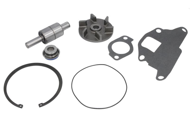 Kit de reparación para bomba de agua THERMOTEC WP-NH011RK para New Holland 100