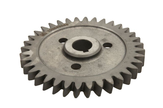 Engranaje, bomba servo DT SPARE PARTS 2.10234