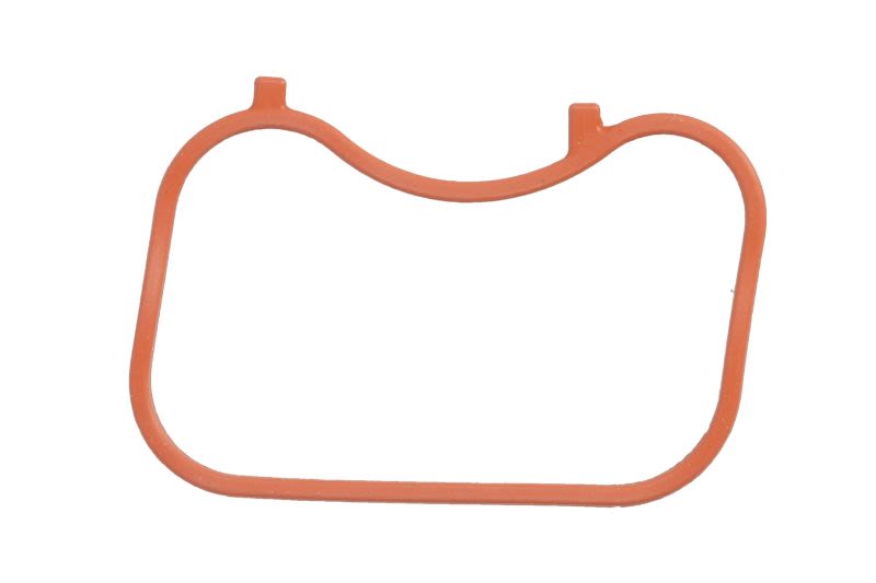 Empaquetadura de múltiple de admisión REINZ 71-17123-00 para Ford Fiesta VII