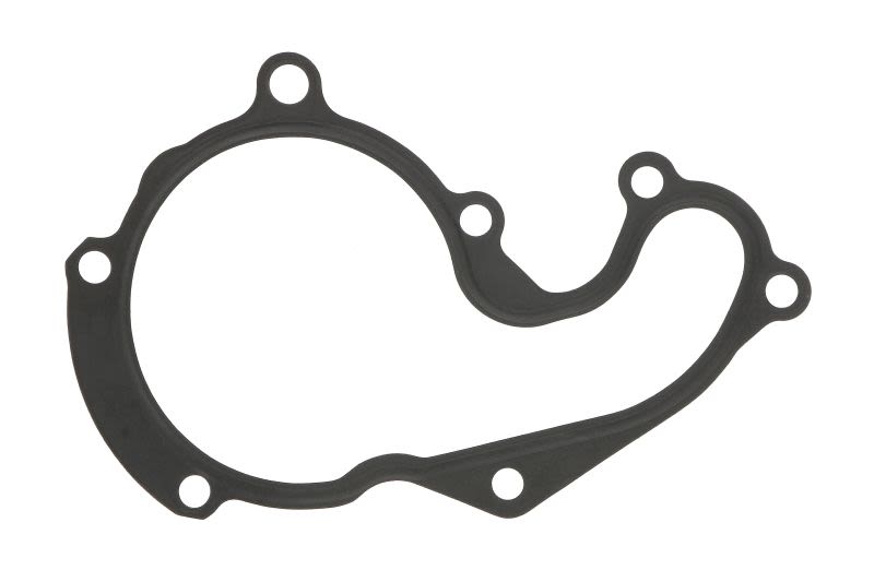 Empaquetadura de bomba de agua AJUSA 00834700 para Ford Transit Connect