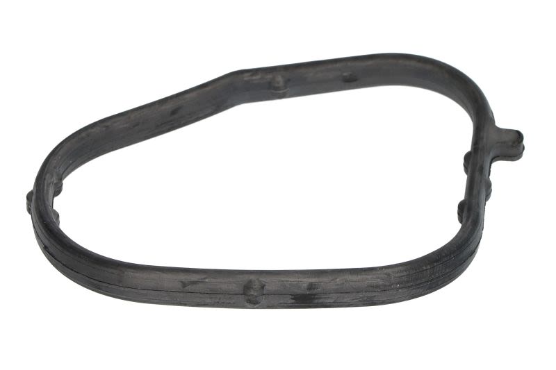 Empaquetadura de brida de refrigerante AJUSA 01063200 para Volkswagen Golf V
