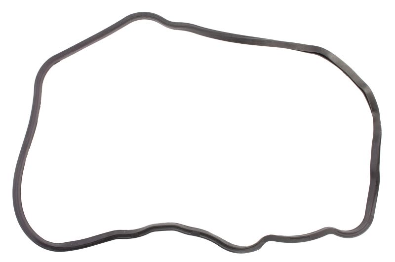 Empaquetadura de cárter de aceite LEMA 25750.12 para MAN TGS I