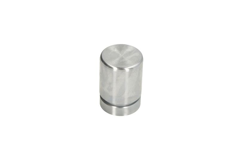Pistón de cáliper de freno AUTOFREN SEINSA D025648 para BMW Serie 3 (E36) 1990-2000