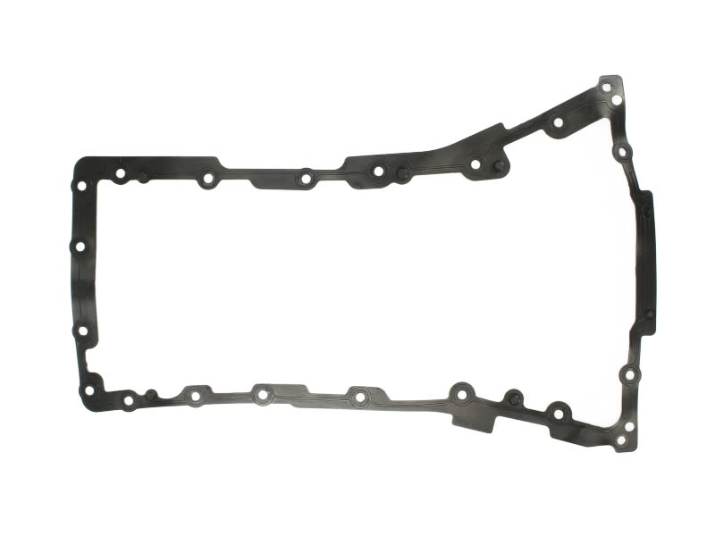 Empaquetadura de cárter de aceite REINZ 71-36674-00 para Land Rover Defende