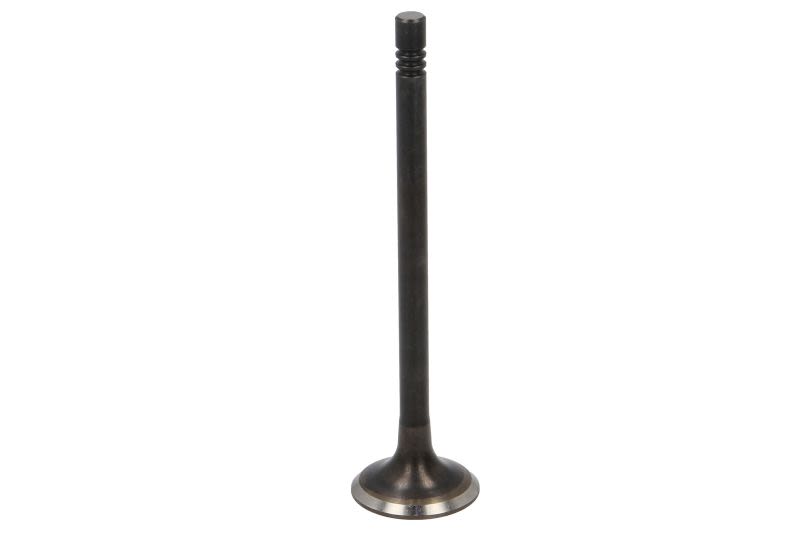 Válvula de escape FRECCIA R6777/BMARNT para Volkswagen Passat B6