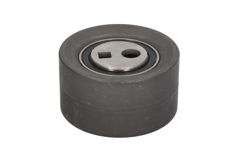 Polea tensora de correa de distribución INA 531 0257 10 para Peugeot Boxe