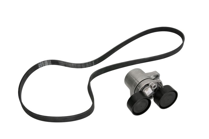 Juego de correa multinervada INA 529 0206 10 para BMW Serie 1 (F20) 2011-2019