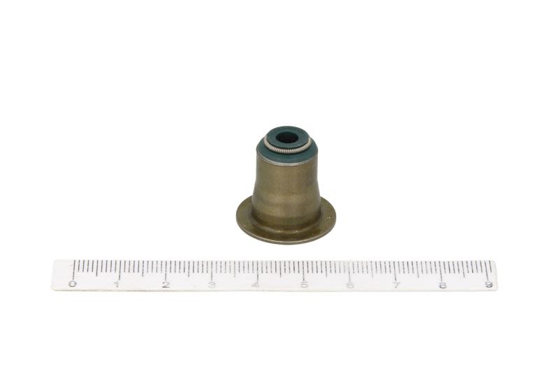 Juego de retenes de vástago de válvula REINZ 12-37256-01 para BMW Serie 1 (E81) 2006-2011