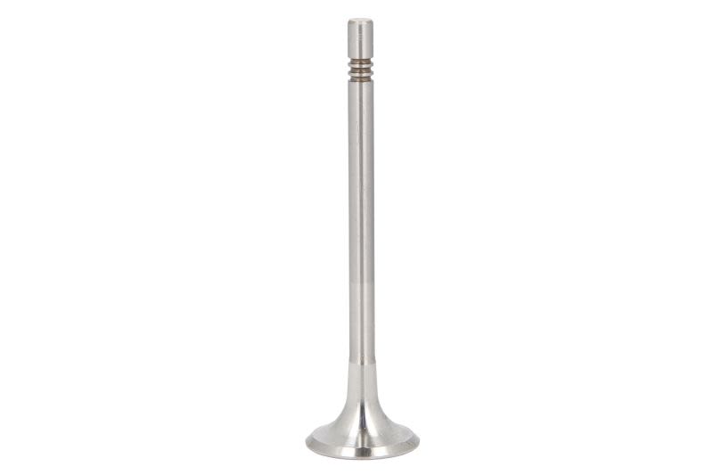 Válvula de escape TRW 331134 para Audi A4 B7